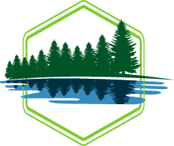 Buzz Pond Installation