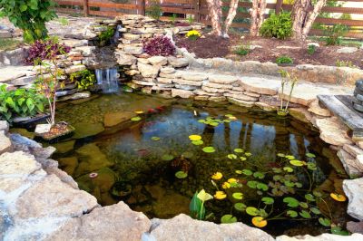Garden Pond Installation