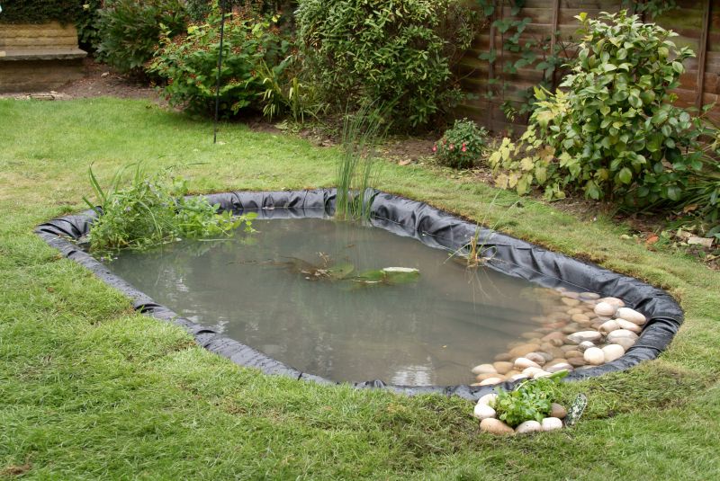 Fish Pond Installation in Honolulu, HI
