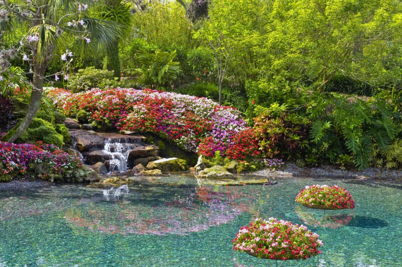 Garden Pond Installation in Ventura County, CA