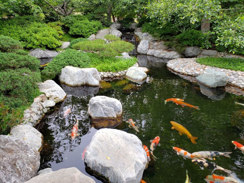 Koi Pond Construction in Ventura County, CA