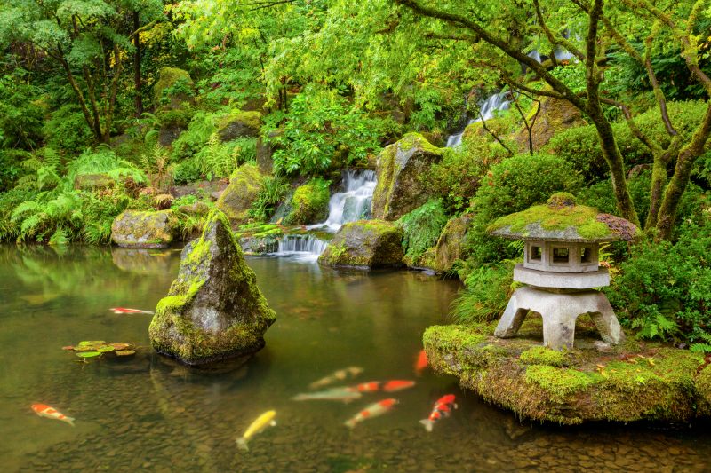 Koi Pond Installation in Ventura County, CA