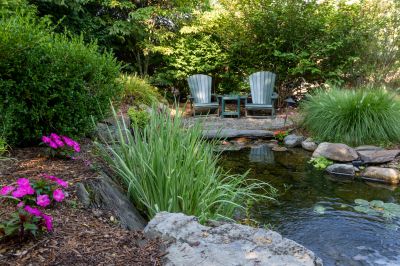 Koi Pond Maintenance in Honolulu, HI