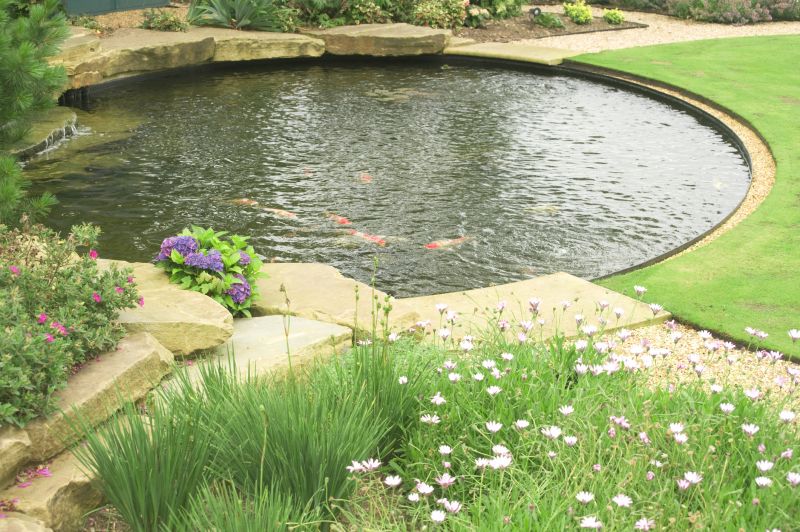 Pond Cleaning in Honolulu, HI