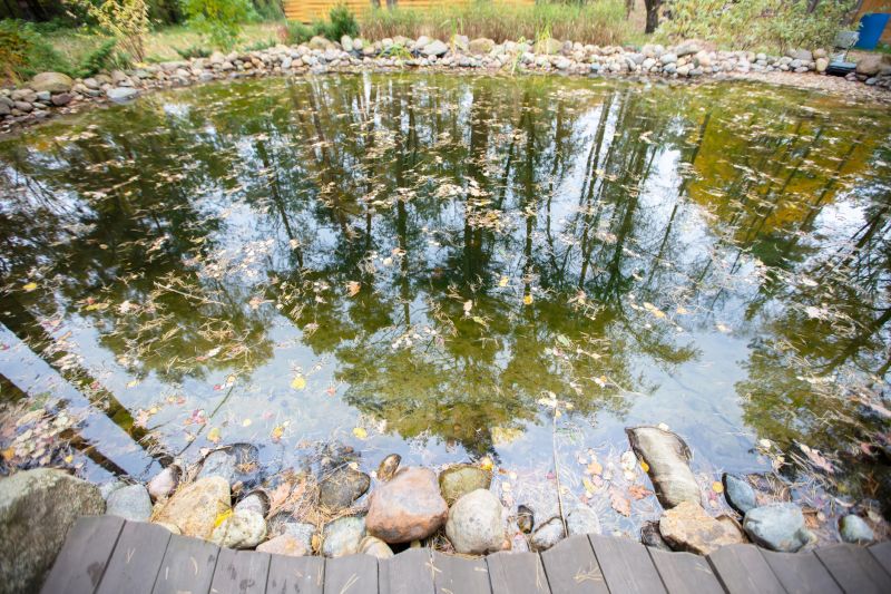 Pond Construction in Honolulu, HI
