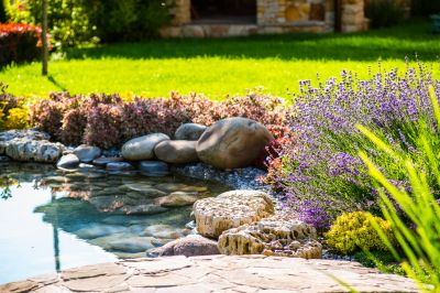 Pond Installation in Honolulu, HI