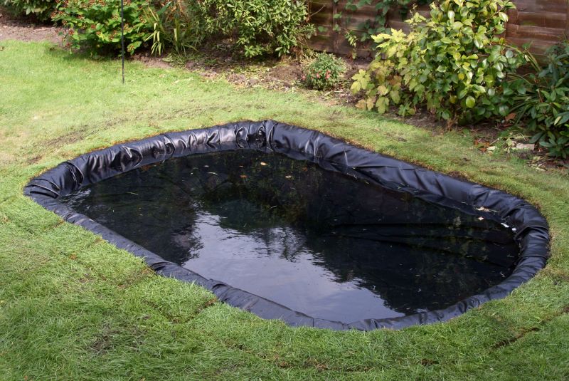 Pond Installation