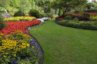 Commercial Landscape Maintenance in Honolulu, HI