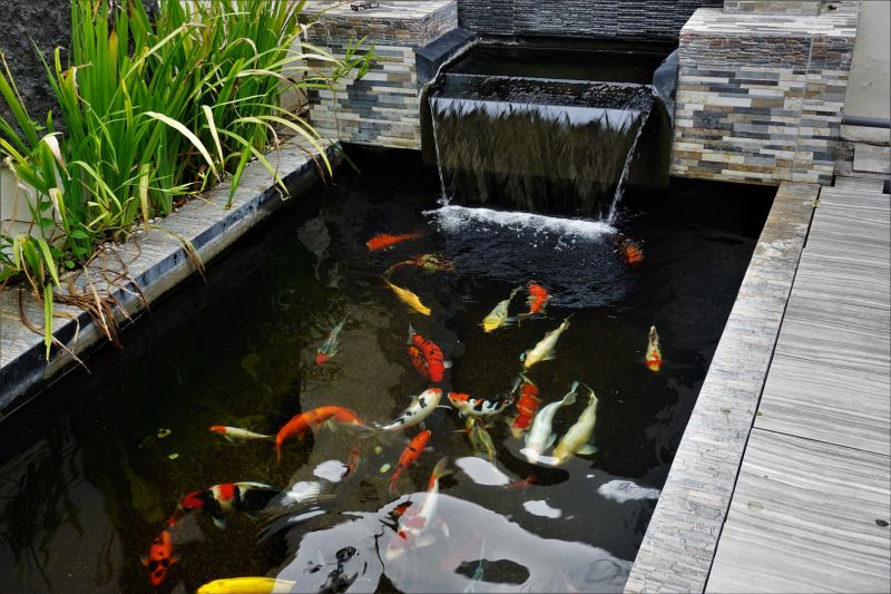 Koi Pond Construction in Honolulu, HI